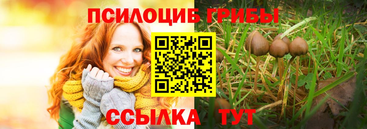 Сокол  закладки  Вход с VPN  Псилоцибиновые грибы MAGIC MUSHROOMS 
