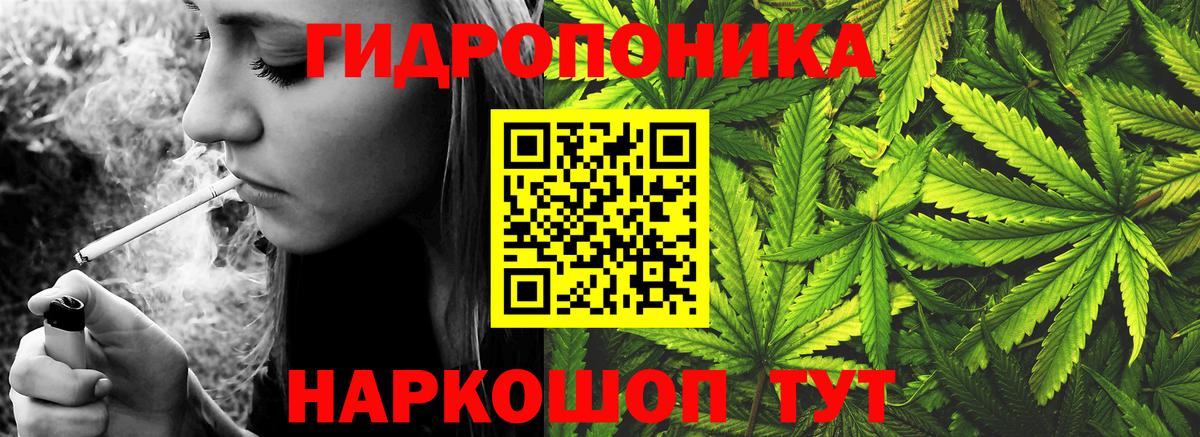 Каннабис гибрид Сокол